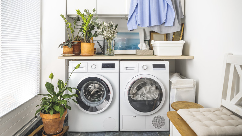 laundry room with plants