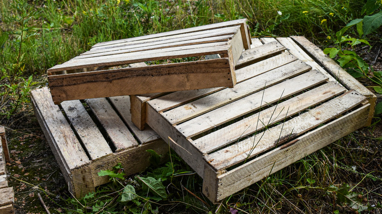 wood pallets