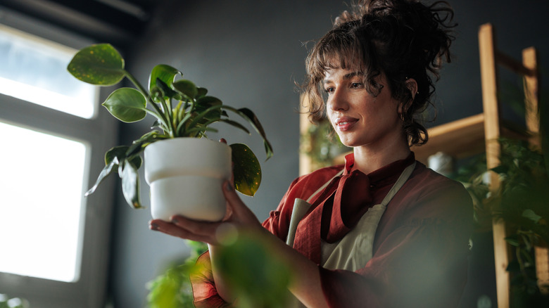 woman admiring a healthy houseplant