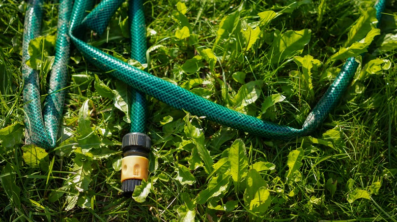green hose with kinks