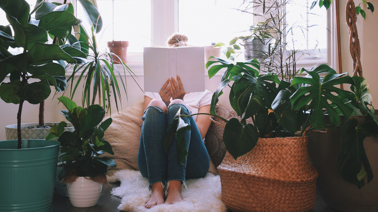 Woman reads surrounded by houseplants 