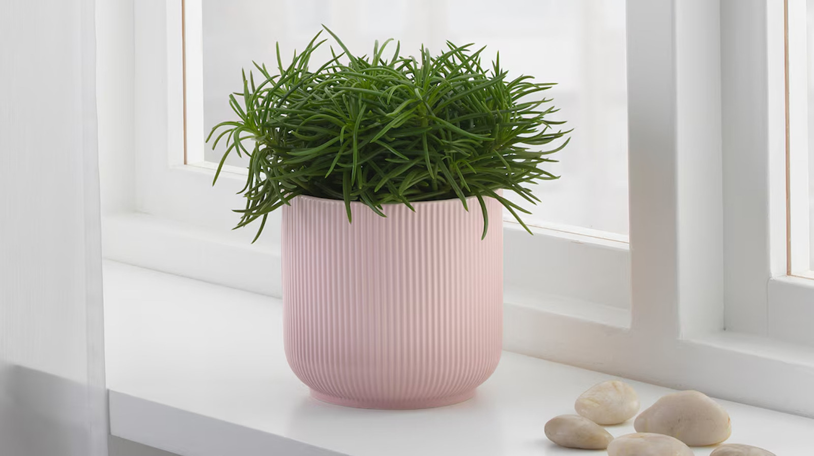 Use This DIY To Transform An IKEA GRADVIS Plant Pot Into A Lovely Tissue  Dispenser