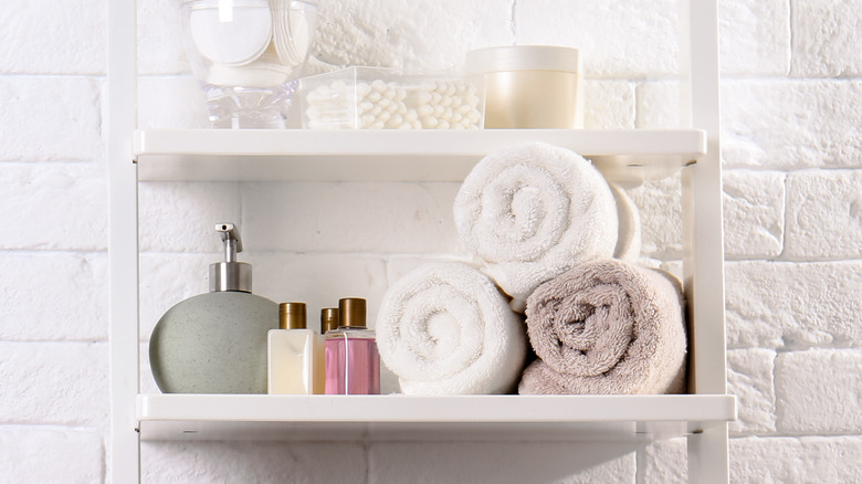 A Beginner's Guide to Various Bathroom Shelves Design