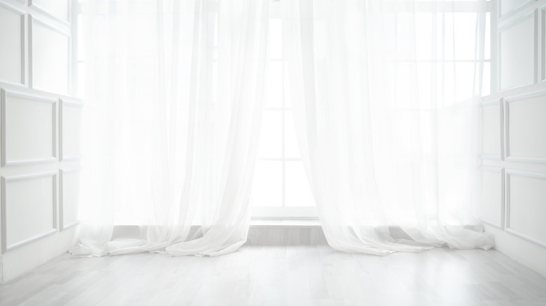 white curtains against sunlit area
