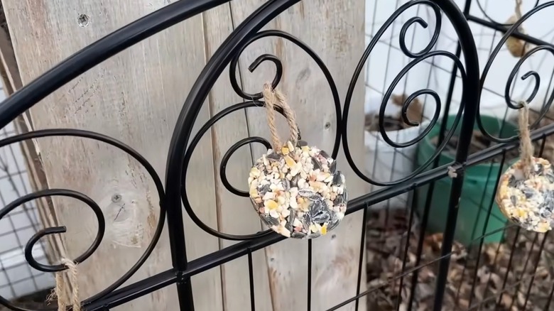 DIY muffin tin bird treats