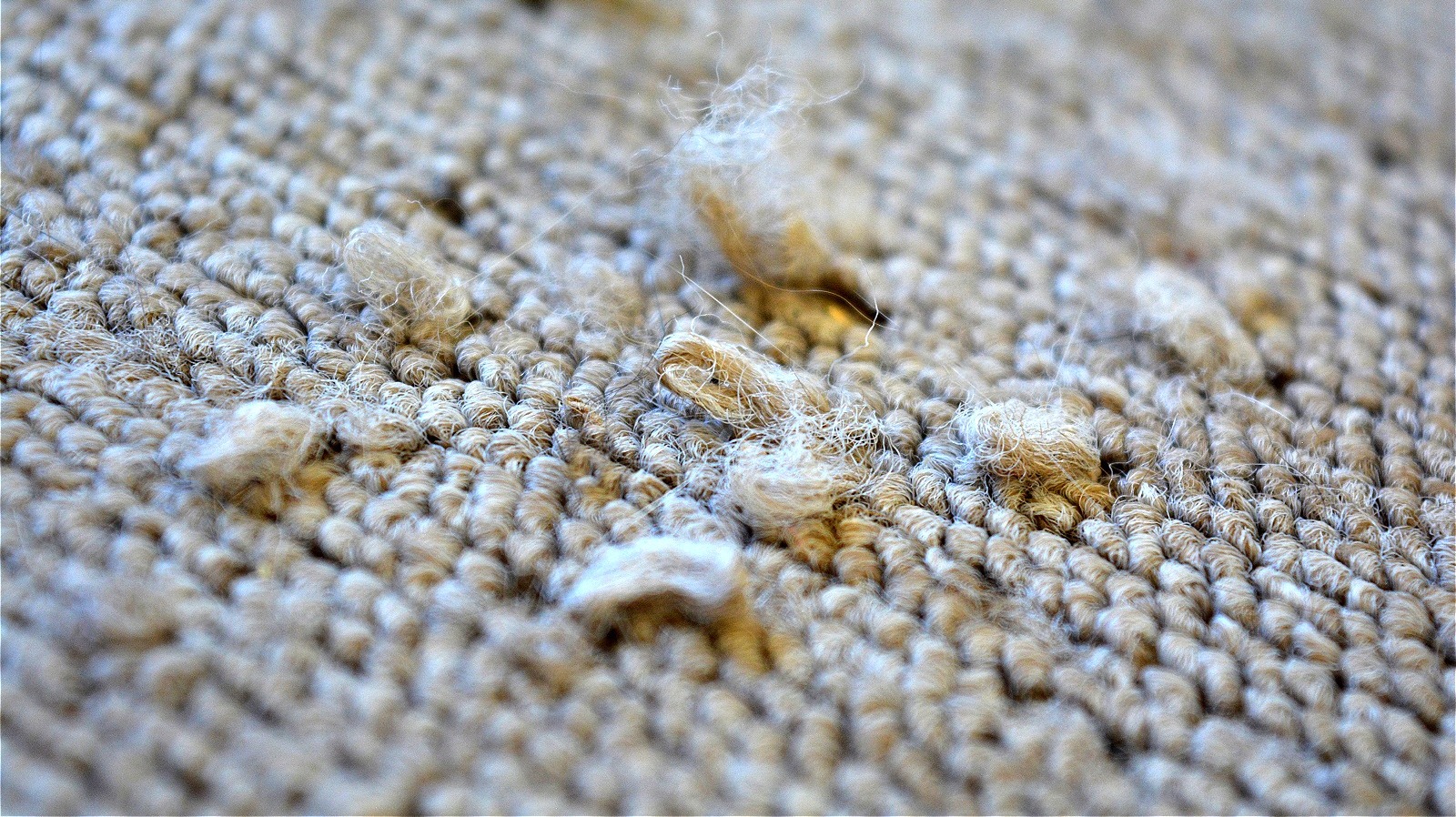Use This Simple Trick To Fix Snagged Carpet In A Pinch