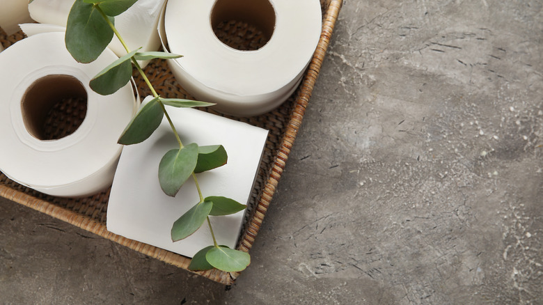 toilet paper rolls