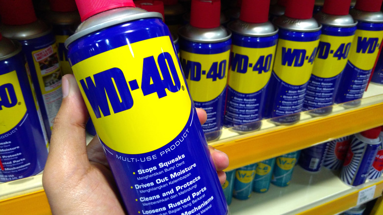 person holding wd-40