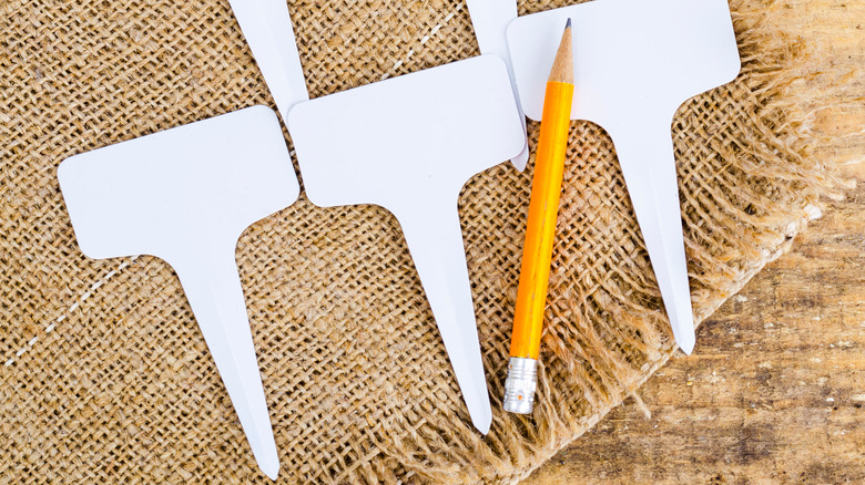 Plant marker stakes and pencil