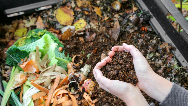 natural fertilizer 