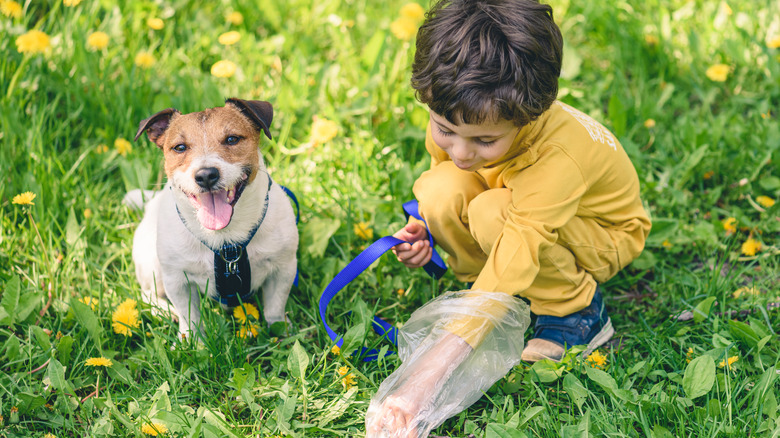 Boy picking up dog poop