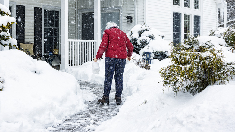 person spreading de-icer on sidewalk