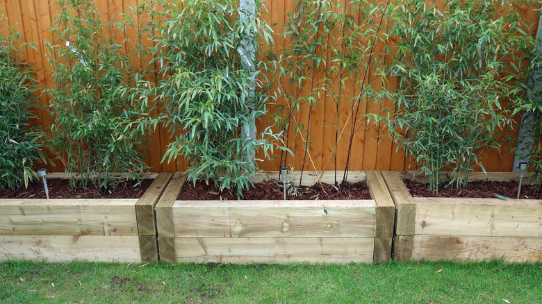 A run of wooden raised beds in a garden made from railway sleepers, which look untreated