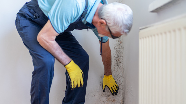 Man bent over looking at mold on walls