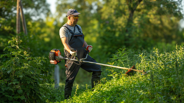 A gardener using a string trimmer to cut long weeds