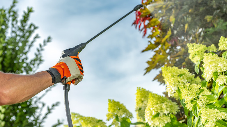 An arm spraying plants with pesticides