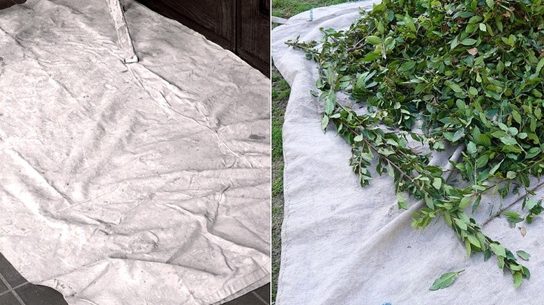 Split image of a drop cloth for painting and a canvas tarp on ground with cut leaves on it