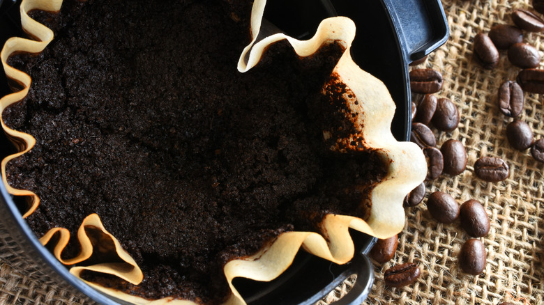 Used coffee grounds in a filter alongside whole coffee beans