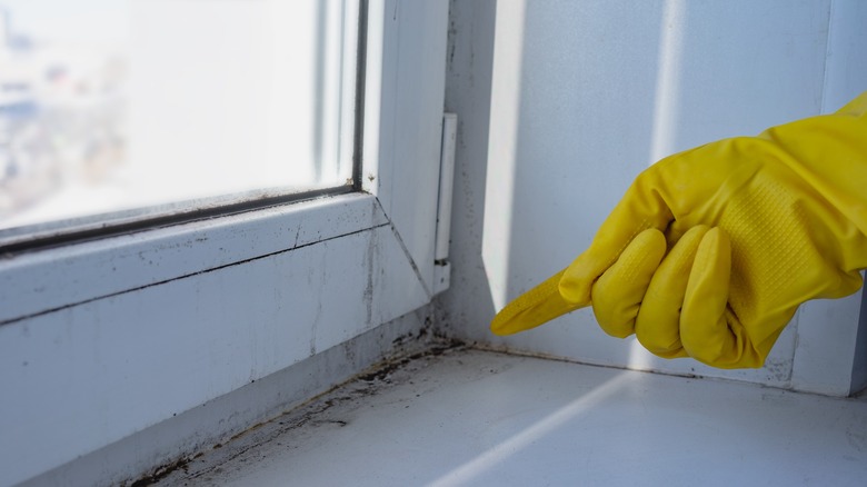 Mold and mildew on window sill