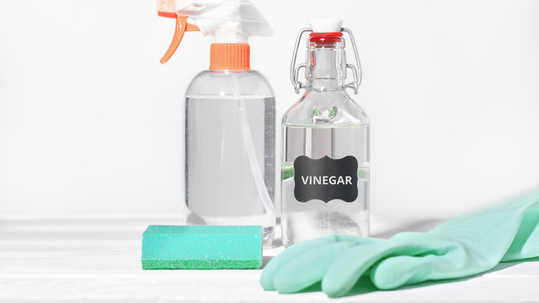 A bottle of white vinegar for cleaning purposes sitting on a counter