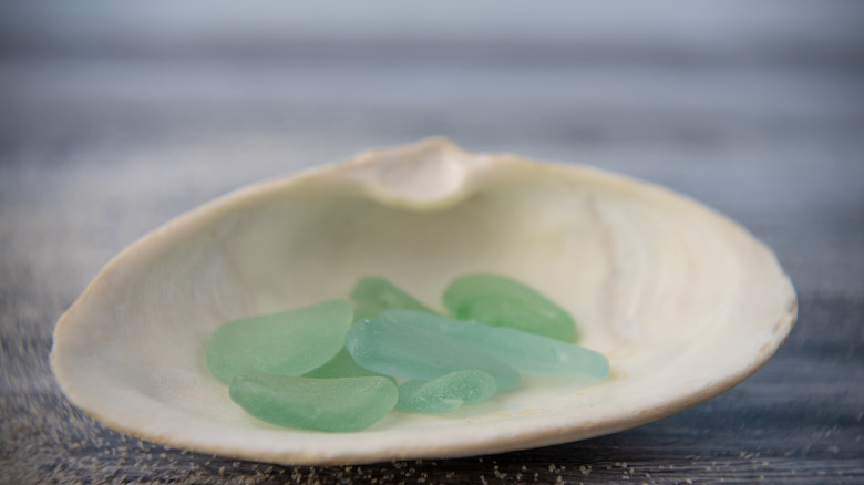 seashell with seaglass