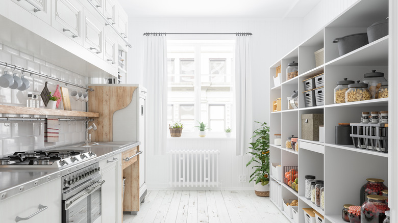 Kitchen cabinet pantry