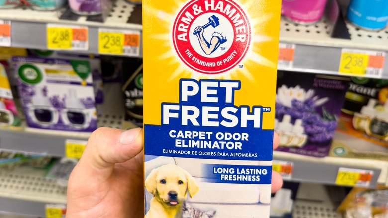 Person holds Arm & Hammer Carpet Odor Eliminator product