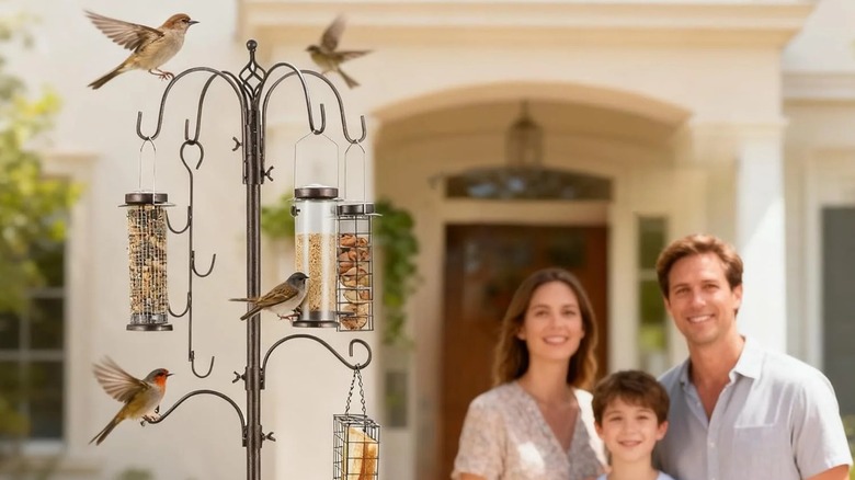 A family watches birds flint around a bird feeding station