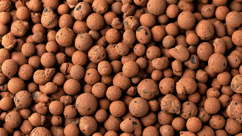 Close up of LECA or clay pebbles