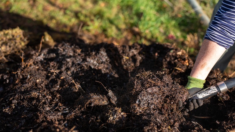 Close up of compost pile