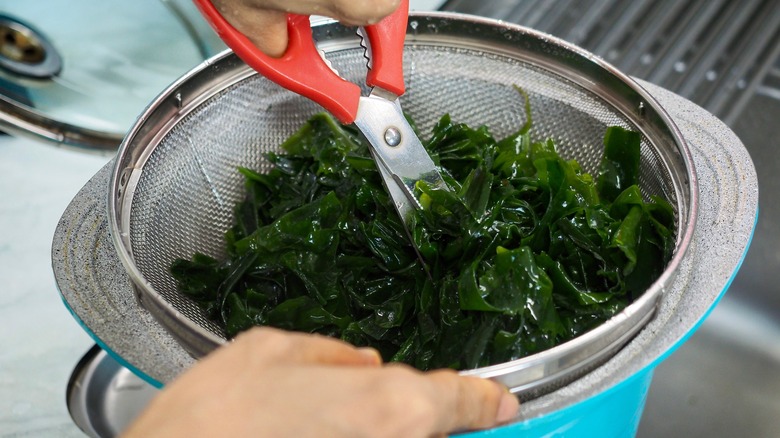 Close up of person cutting kelp seaweed into bowl