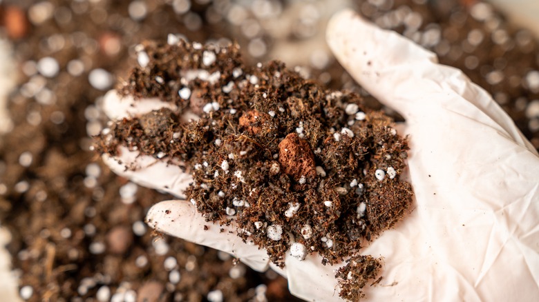 Close up of gloved hand holding handful of perlite