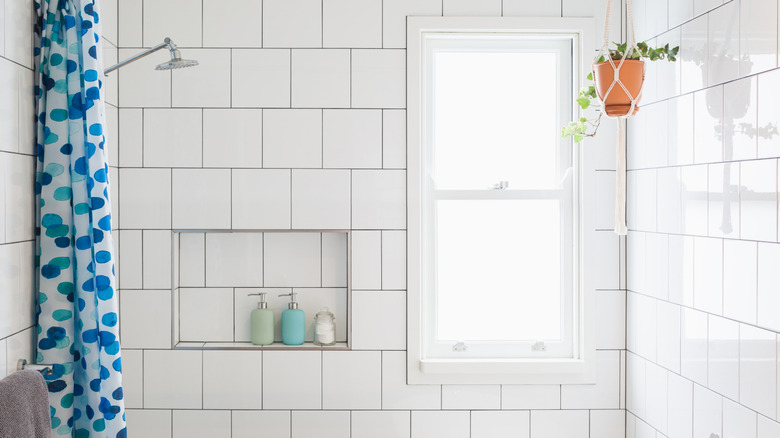 A white shower with a small window on the right side, a hanging plant, and a blue curtain
