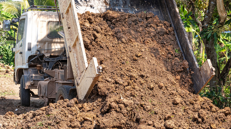A path leading through a garden where there was once a pool