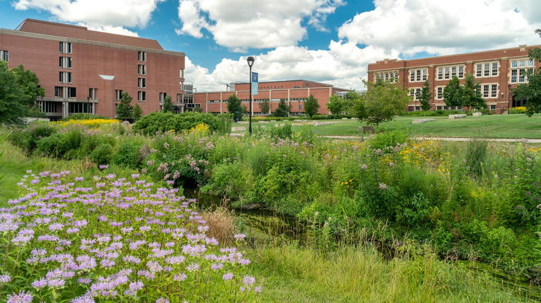 University of Wisconsin-Eau Claire arboretum native plant garden