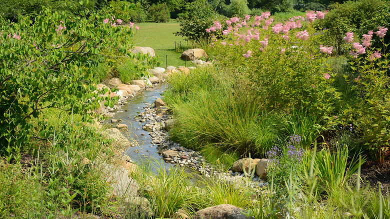 The Brooklyn Botanic Gardens landscape design with stream
