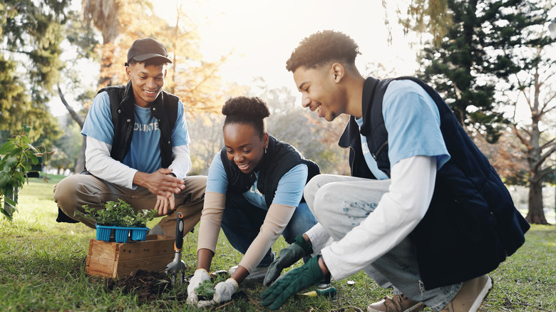 Young people planting together