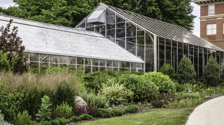 Greenhouse on university campus