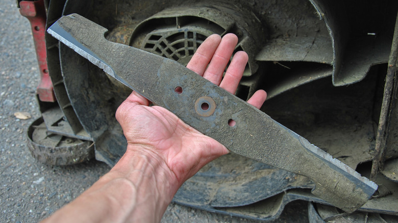 Person holding lawn mower blade