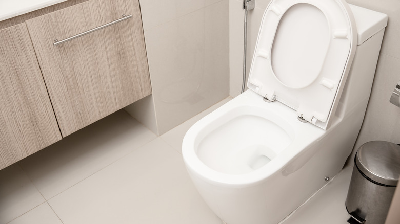 Modern elongated toilet
