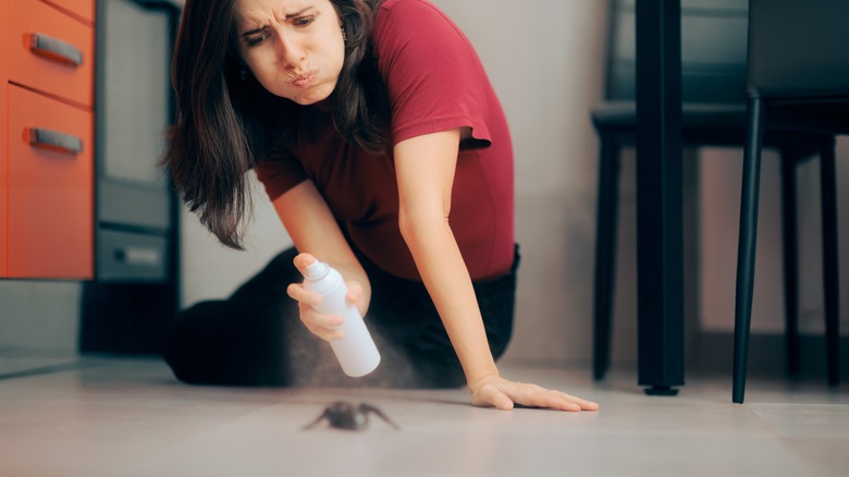 donna che uccide il ragno