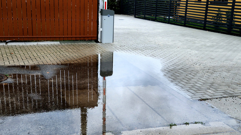 Water pooling on a shared driveway in a residential area with fenced homes.