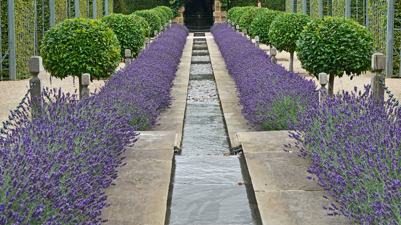 Water rill in garden