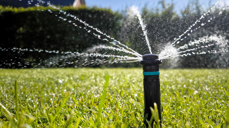 A spout of a water from a lawn irrigation system keeps the grass green.