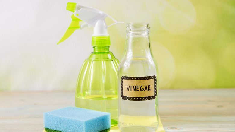 Jar of vinegar