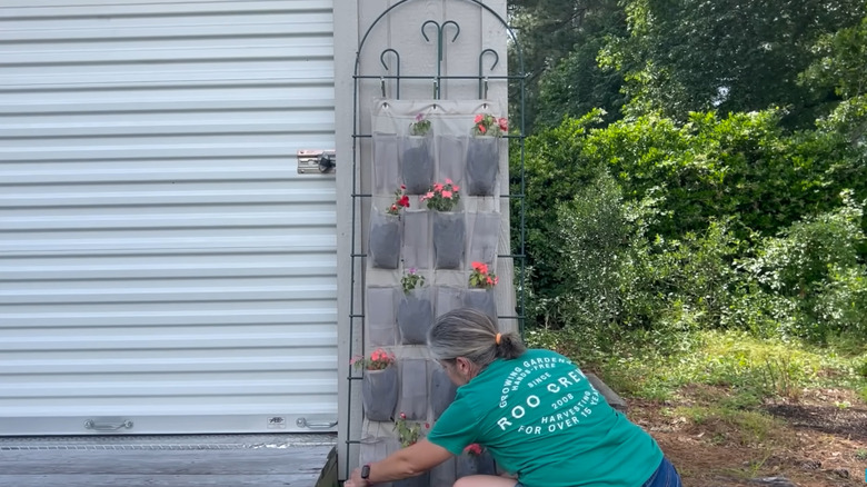 A person in a green t-shirt securing the bottom of a shoe holder to a trellis; flowers planted in alternating pockets of the holder