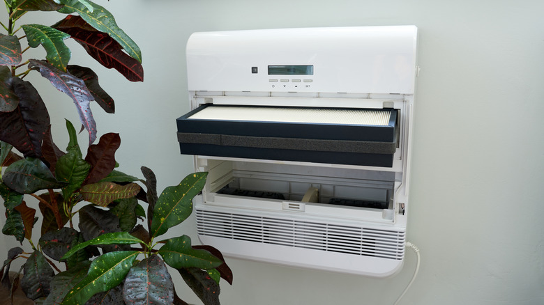 A tall house plant next to an open vent