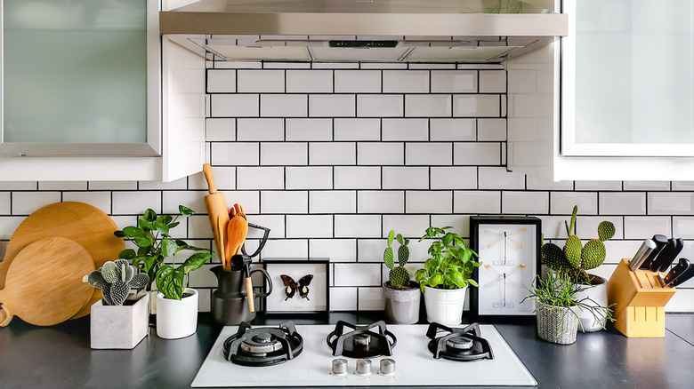 framed art behind cooktop