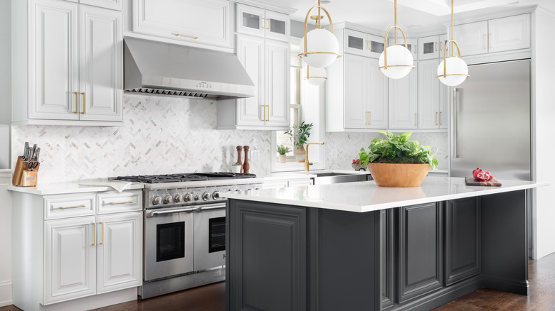 potted plants in kitchen