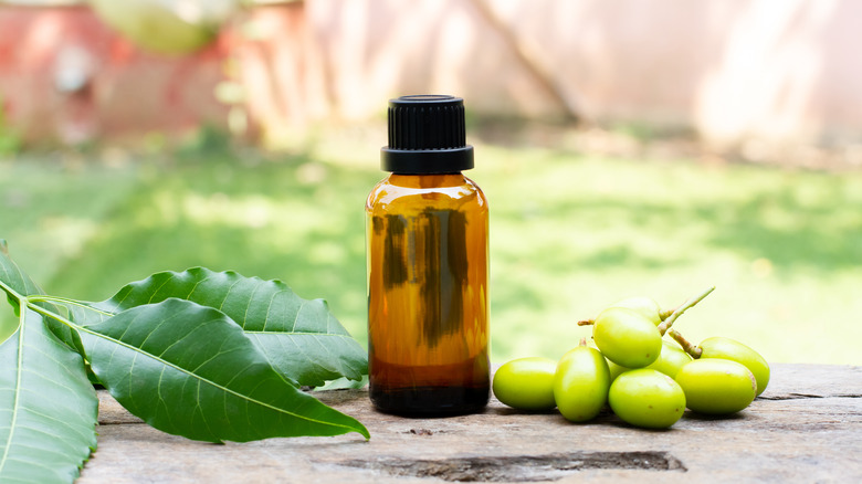 bottle of neem oil